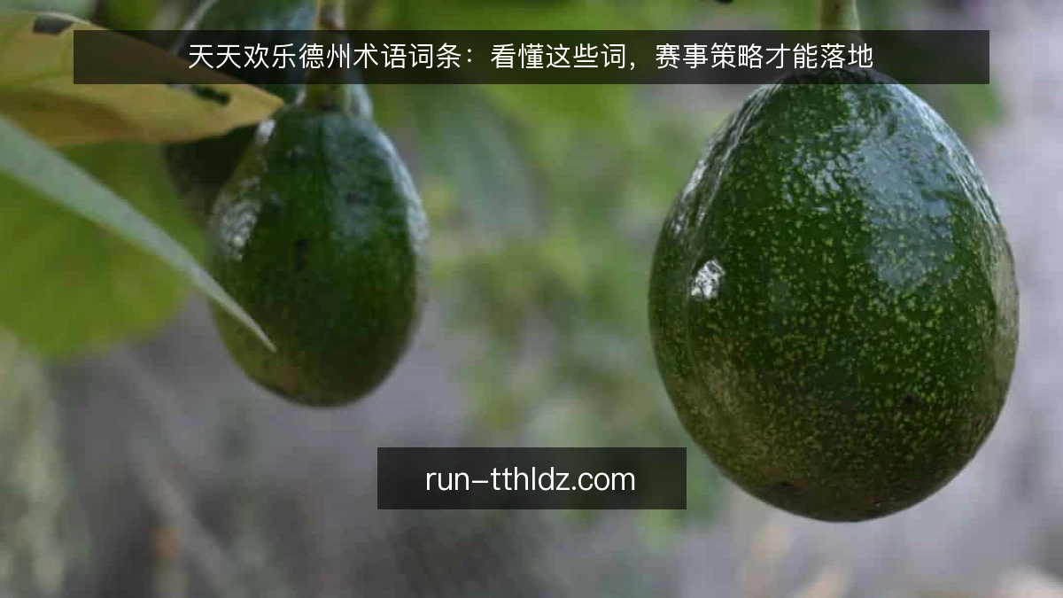 天天欢乐德州术语词条：看懂这些词，赛事策略才能落地