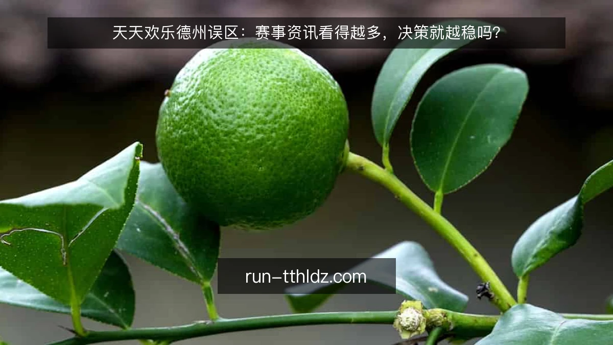 天天欢乐德州误区：赛事资讯看得越多，决策就越稳吗？